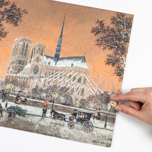 Première neige sur notre-dame de delacr