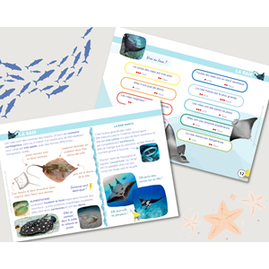 Livret animaux marins