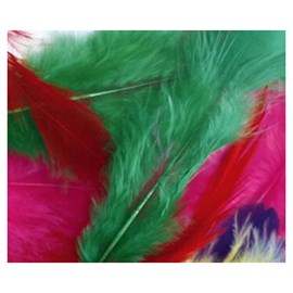 Petit sachet 20 plumes de 7cm colorees