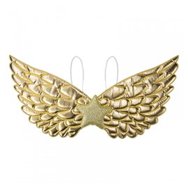 Ailes fantastiques dorees