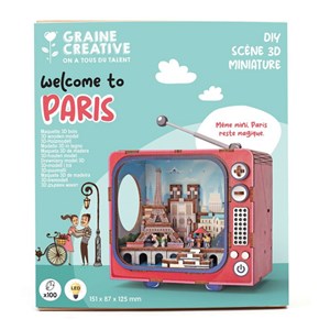 Maquette bois 3d - tv paris