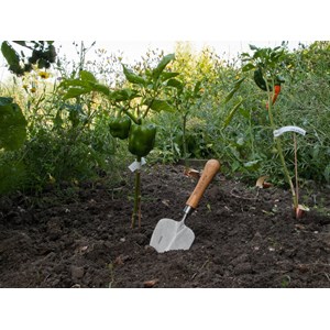 Pelle à transplanter à main