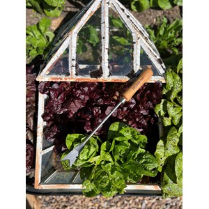 Couteau à désherber à main