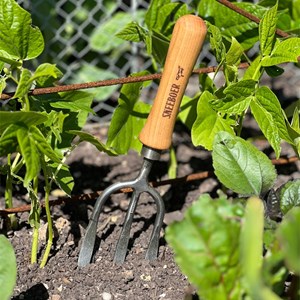 Fourche à main 3 dents