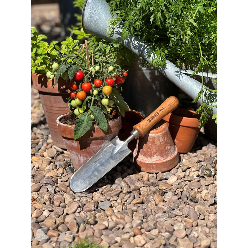 Great dixter pelle à désherber à main