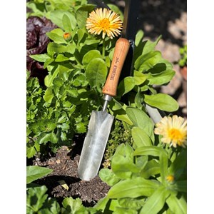 Great dixter pelle à désherber à main