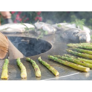 Brasero g2 graphite plaque acier carbone - artiss