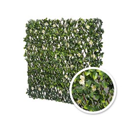 Treillis extensible jasmin fleuris 2 m (2 treillis de1 x 2 m) - jardideco