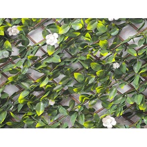 Treillis extensible jasmin fleuris 2 m (2 treillis de1 x 2 m) - jardideco