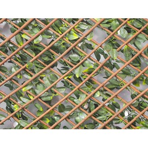 Treillis extensible jasmin fleuris 2 m (2 treillis de1 x 2 m) - jardideco