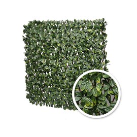 Treillis extensible laurier amande 2 m (2 treillis de 1 x 2 m) - jardideco