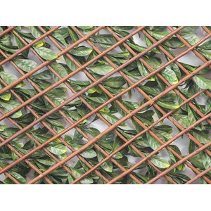 Treillis extensible laurier amande 2 m (2 treillis de 1 x 2 m) - jardideco