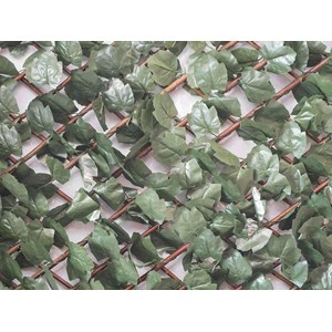 Treillis extensible feuilles de lierre 2 m (2 treillis 1 x 2 m) - jardideco