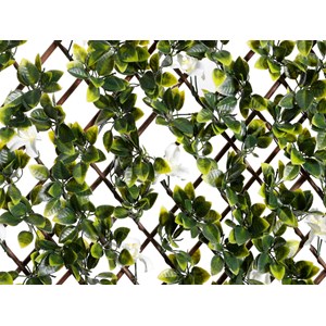 Treillis extensible en osier avec feuillage - jasmin - 100 x 200 cm - nature