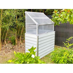 Mini-serre de jardin en acier galvanisé