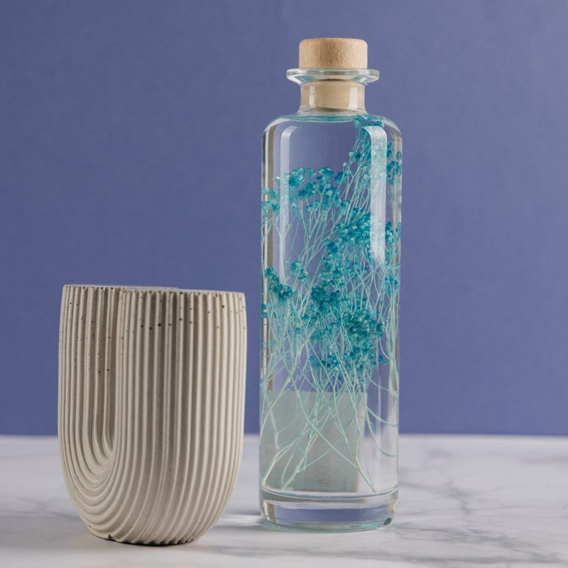 Plante immergée broom bleu turquoise h21