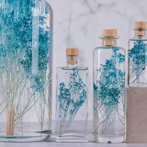 Plante immergée broom bleu turquoise h21