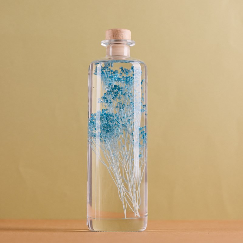 Plante immergée broom bleu turquoise h23