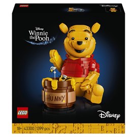 Lego® disney princess? 43300
