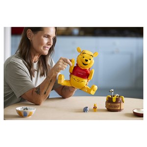 Lego® disney princess? 43300