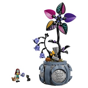 Lego® disney princess? 43288