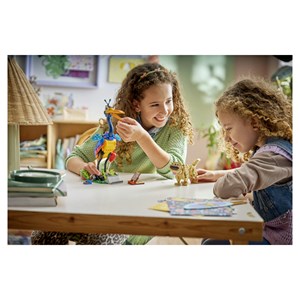 Lego® disney princess? 43290