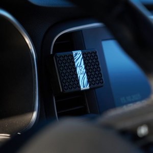 Boitier pour diffuseur de voiture zébra