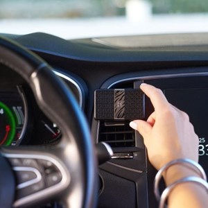 Boitier pour diffuseur de voiture zébra