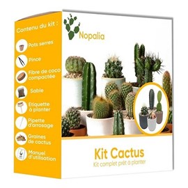 Nopalia® kit cactus prémium - mini kit à faire pousser