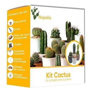 Nopalia® kit cactus prémium - mini kit à faire pousser