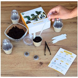 Nopalia® kit cactus prémium - mini kit à faire pousser