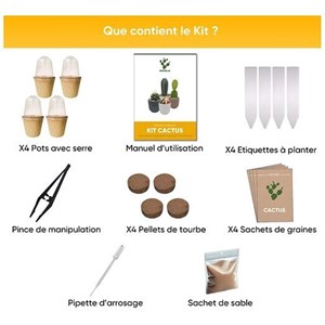 Nopalia® kit cactus prémium - mini kit à faire pousser