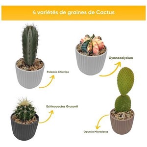 Nopalia® kit cactus prémium - mini kit à faire pousser