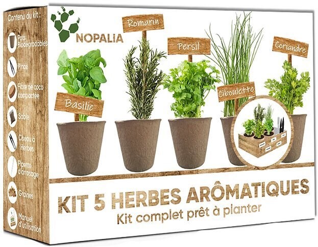 Nopalia® kit herbes aromatiques bio prêt à pousser - 5 variétés