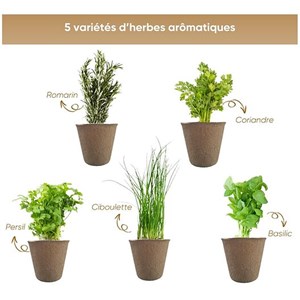 Nopalia® kit herbes aromatiques bio prêt à pousser - 5 variétés