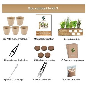 Nopalia® kit herbes aromatiques bio prêt à pousser - 5 variétés