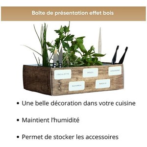 Nopalia® kit herbes aromatiques bio prêt à pousser - 5 variétés