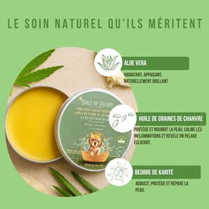 Baume chien naturel & bio, soin pattes & truffe hydratant anti-démangeaison