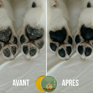 Baume chien naturel & bio, soin pattes & truffe hydratant anti-démangeaison