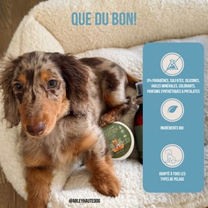 Baume chien naturel & bio, soin pattes & truffe hydratant anti-démangeaison