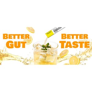 Pack mensuel kombucha lemon : 3 boites teazen tz-pkolmnx3