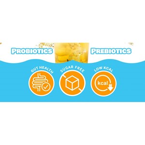 Pack mensuel kombucha lemon : 3 boites teazen tz-pkolmnx3