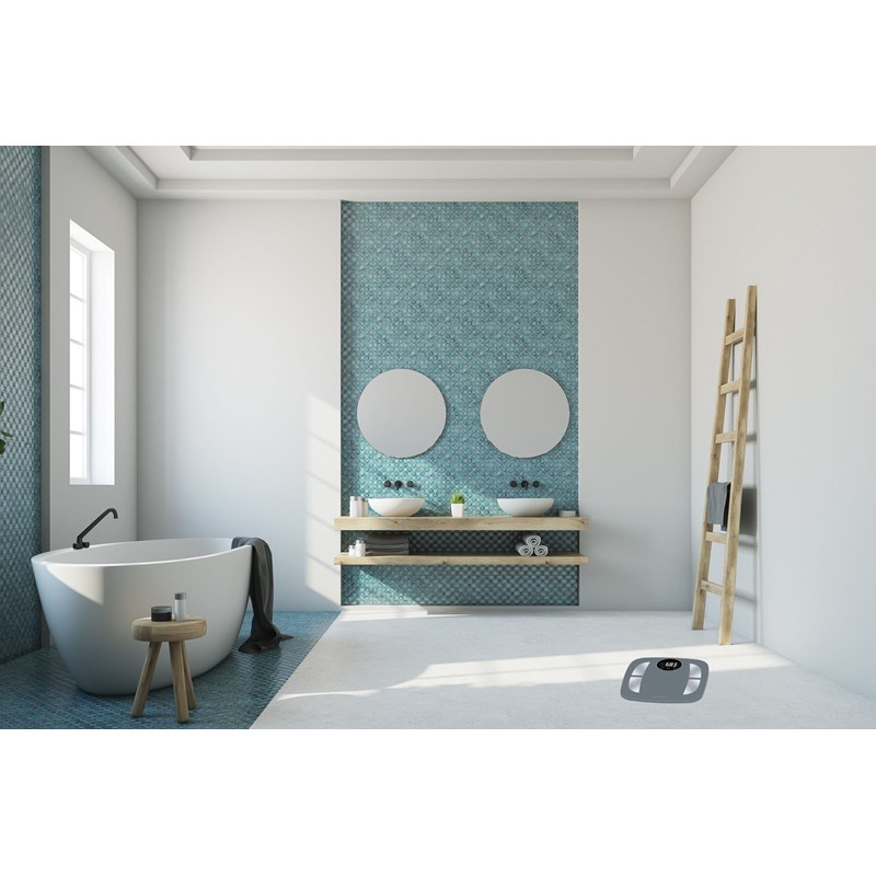 Balance impédancemètre power fit gris (Terraillon) - Image 1