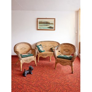 Ensemble de jardin en osier n°226