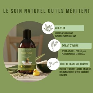 Shampooing bio pour chiens – aloe vera & avoine – vegan, naturel & cruelty free