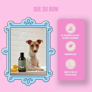 Shampooing bio pour chiens – aloe vera & avoine – vegan, naturel & cruelty free