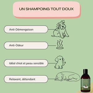 Shampooing bio pour chiens – aloe vera & avoine – vegan, naturel & cruelty free