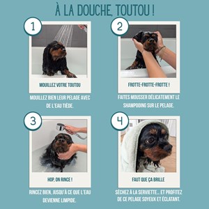Shampooing bio pour chiens – aloe vera & avoine – vegan, naturel & cruelty free