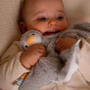 Doudou martin le pingouin