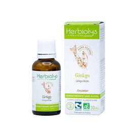 Macérat de bourgeon sans alcool de ginkgo bio - circulation